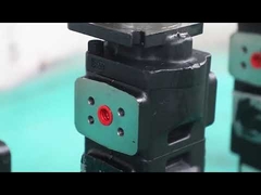 Bomba de engrenagem hidráulica industrial Fluxo da bomba de dupla para escavadeira