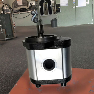 F540-13T-L-101.6 Bomba de engrenagem hidráulica para máquinas pesadas 6 meses de garantia