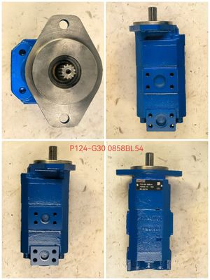 EC460 P124-G30 Bomba de engrenagem hidráulica para escavadeiras 1 ano de garantia