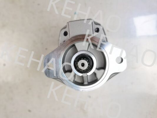 Bomba de Engrenagem Hidráulica Série D41 incluindo D41-45CC(R) D41-6E+40-28CCR D41-400C(R) com Vazão de 1060lpm Aço Inoxidável AISI e 1 Ano de Garantia