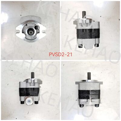PVSD2-21 Bomba de Engrenagem Hidráulica Materiais de liga de ferro e alumínio  Gama para Máquinas de Construção Fornecimento de Fábrica Peças Hidráulicas Personalizar