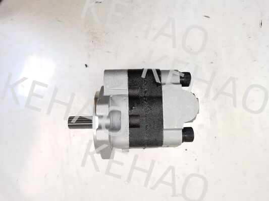 PVSD2-21 Bomba de Engrenagem Hidráulica Materiais de liga de ferro e alumínio  Gama para Máquinas de Construção Fornecimento de Fábrica Peças Hidráulicas Personalizar