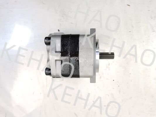 PVSD2-21 Bomba de Engrenagem Hidráulica Materiais de liga de ferro e alumínio  Gama para Máquinas de Construção Fornecimento de Fábrica Peças Hidráulicas Personalizar