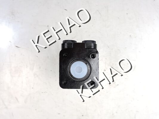 Motor de Engrenagem Hidráulico Série BZZ1 BZZ1-E400B BZZ1-E200B Motor de Óleo de Engrenagem de Reposição projetado para alto torque e desempenho estável em baixa velocidade