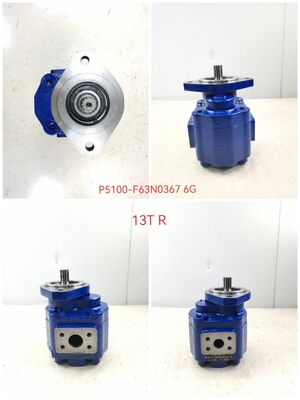 KEHAO Hydraulic Gear Pump P5100-F63N03676G Reparação Peças hidráulicas Ferro fundido Alumínio liga de óleo engrenagem bomba para equipamentos de escavação ISO9001 certificado