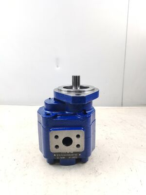KEHAO Hydraulic Gear Pump P5100-F63N03676G Reparação Peças hidráulicas Ferro fundido Alumínio liga de óleo engrenagem bomba para equipamentos de escavação ISO9001 certificado
