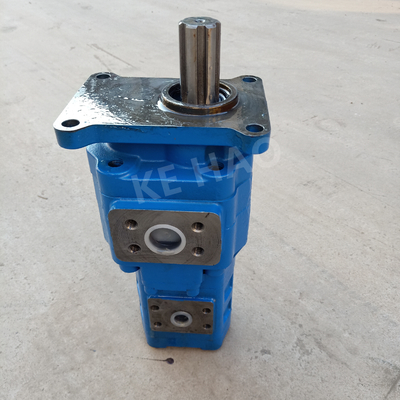 Bomba hidráulica de alta pressão personalizada de bomba de engrenagem/de engrenagem fase do vertical 2