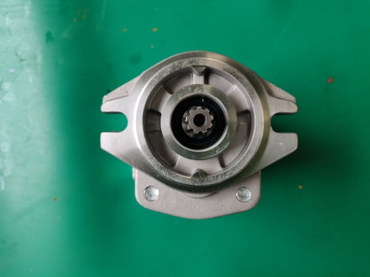 Bomba de engrenagem Siver do ferro SGP1-F23-ALΦ9R e cor preta