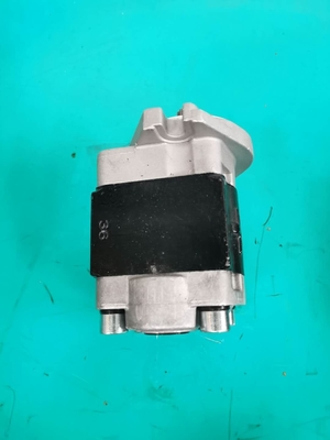 Bombas de engrenagem comerciais D50P da hidráulica de SGP1-F36-ALΦ10L H D50S