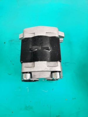 Bombas de engrenagem comerciais D50P da hidráulica de SGP1-F36-ALΦ10L H D50S