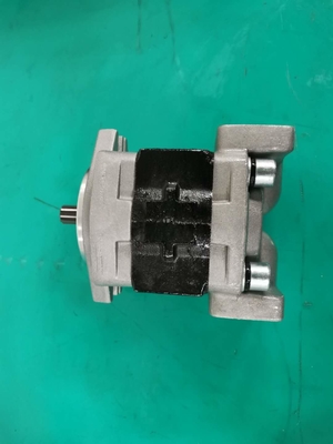 Ferro padrão SGP1AF25-ALΦ9 material L bomba de engrenagem