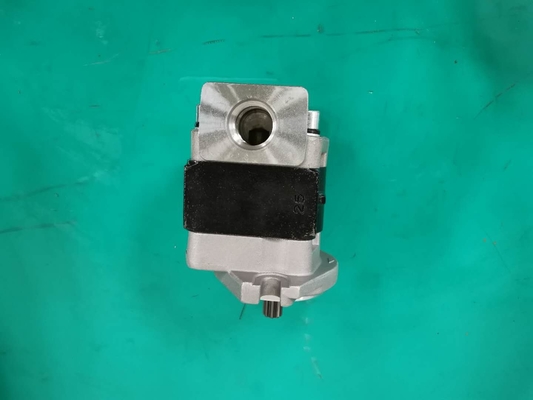 Ferro padrão SGP1AF25-ALΦ9 material L bomba de engrenagem