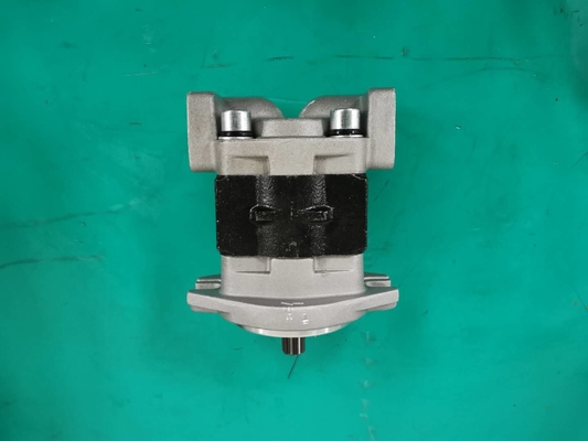 Ferro padrão SGP1AF25-ALΦ9 material L bomba de engrenagem